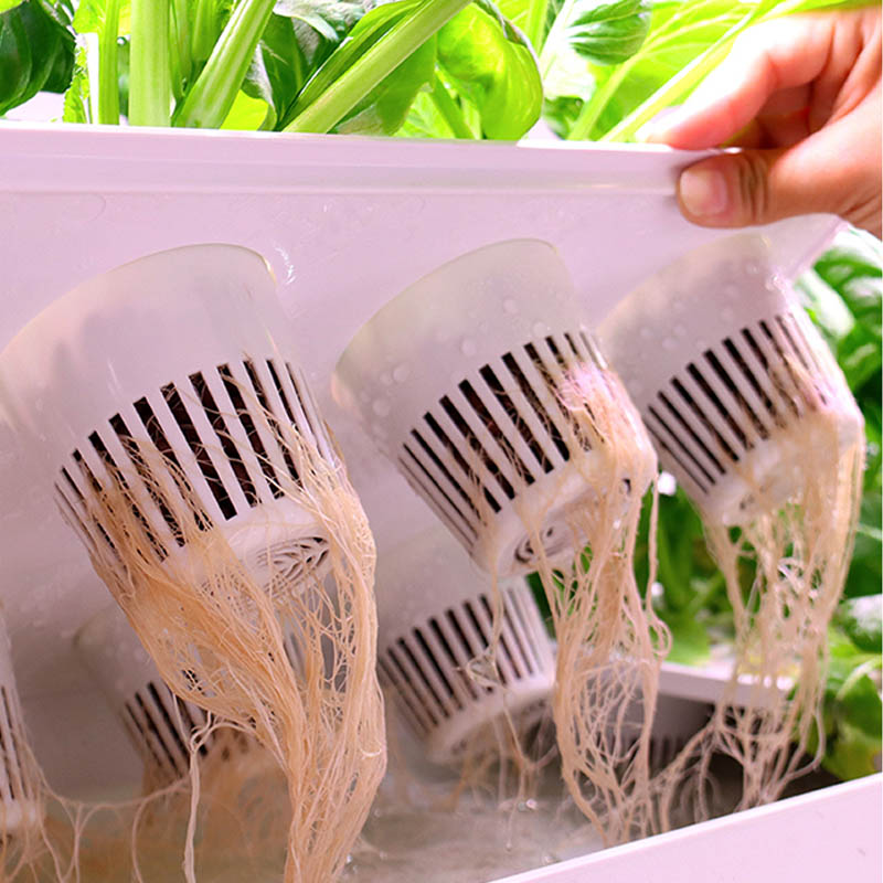 ระบบปลูกพืชไฮโดรโปนิกส์ ระบบอั - Home Automation Diy บทวิจารณ์และราคา